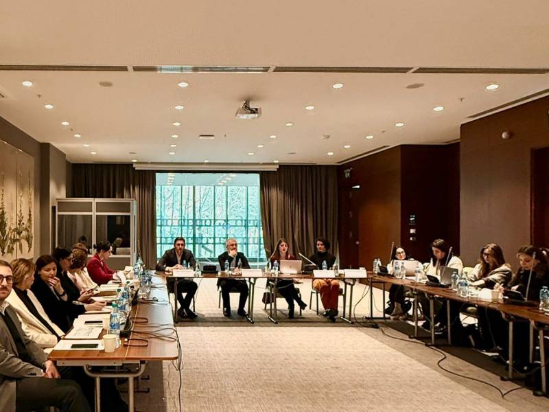 მანდატურის სამსახურის უფროსმა ევროპის საბჭოს პროექტის მმართველი კომიტეტის შეხვედრაში მიიღო მონაწილეობა