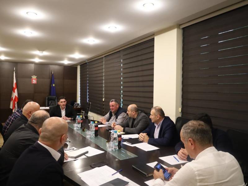 მანდატურის სამსახურის უფროსმა რეგიონული ცენტრების ხელმძღვანელებთან სამუშაო შეხვედრა გამართა